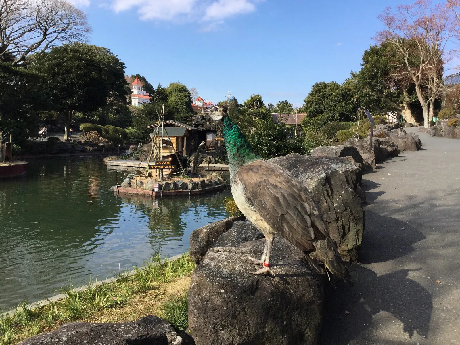 Izu Cactus Park - Izu Shaboten Zoo