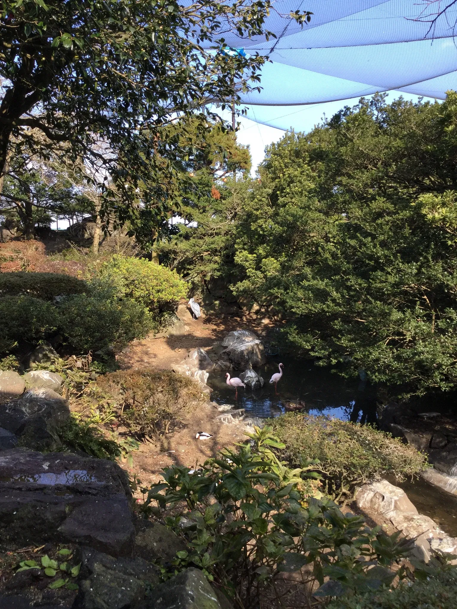 Izu Cactus Park - Izu Shaboten Zoo
