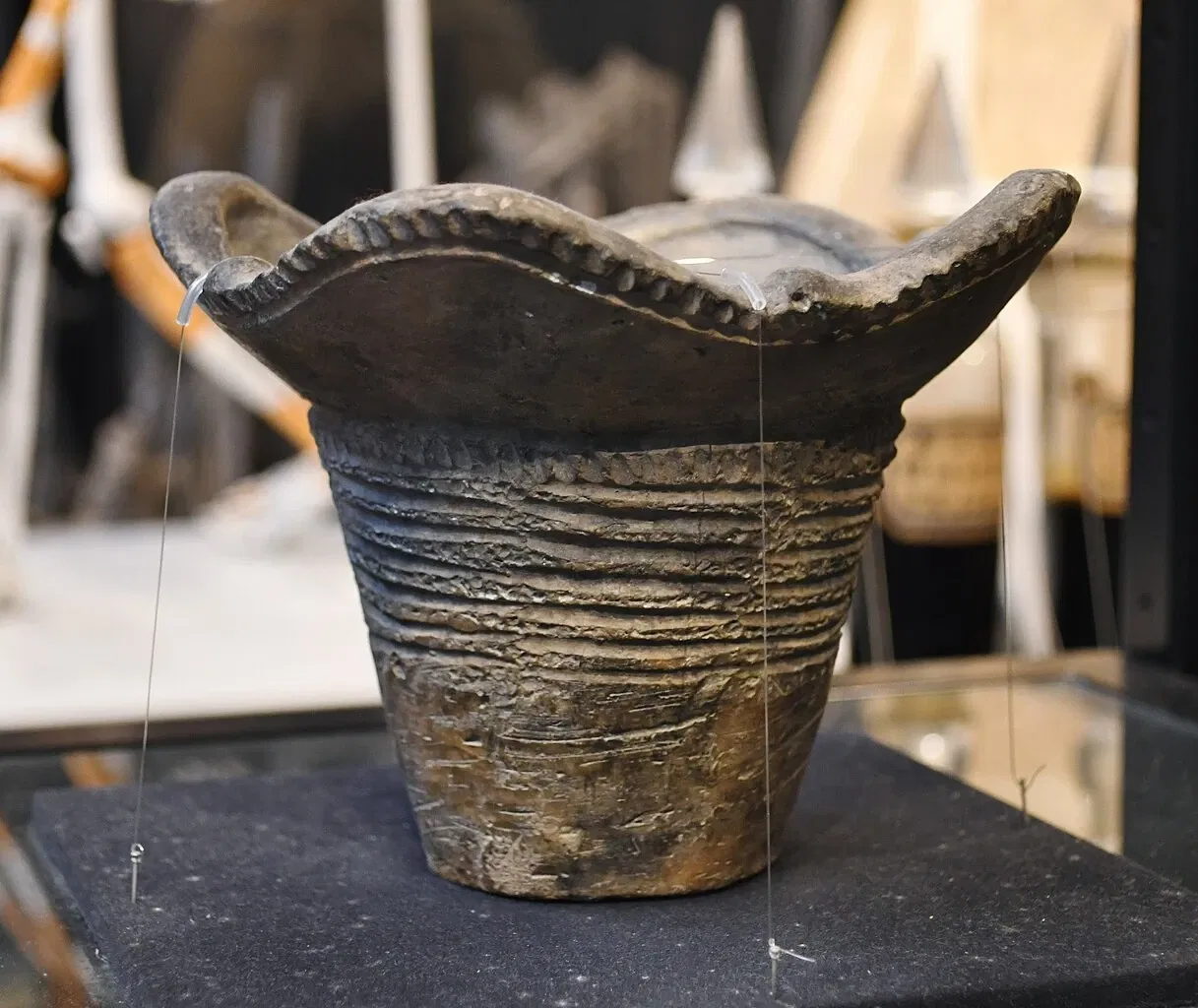 The University Museum, The University of Tokyo