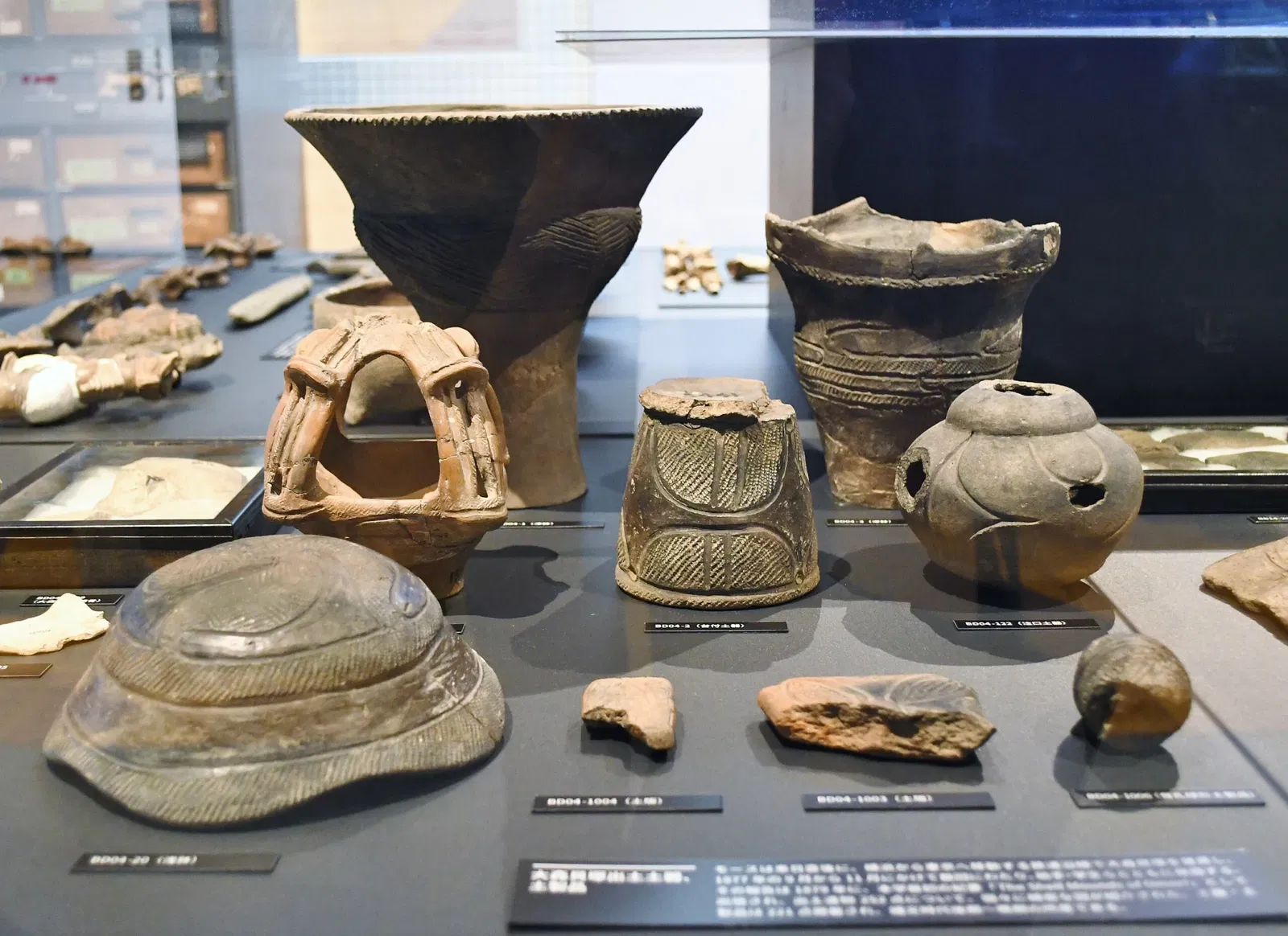 The University Museum, The University of Tokyo