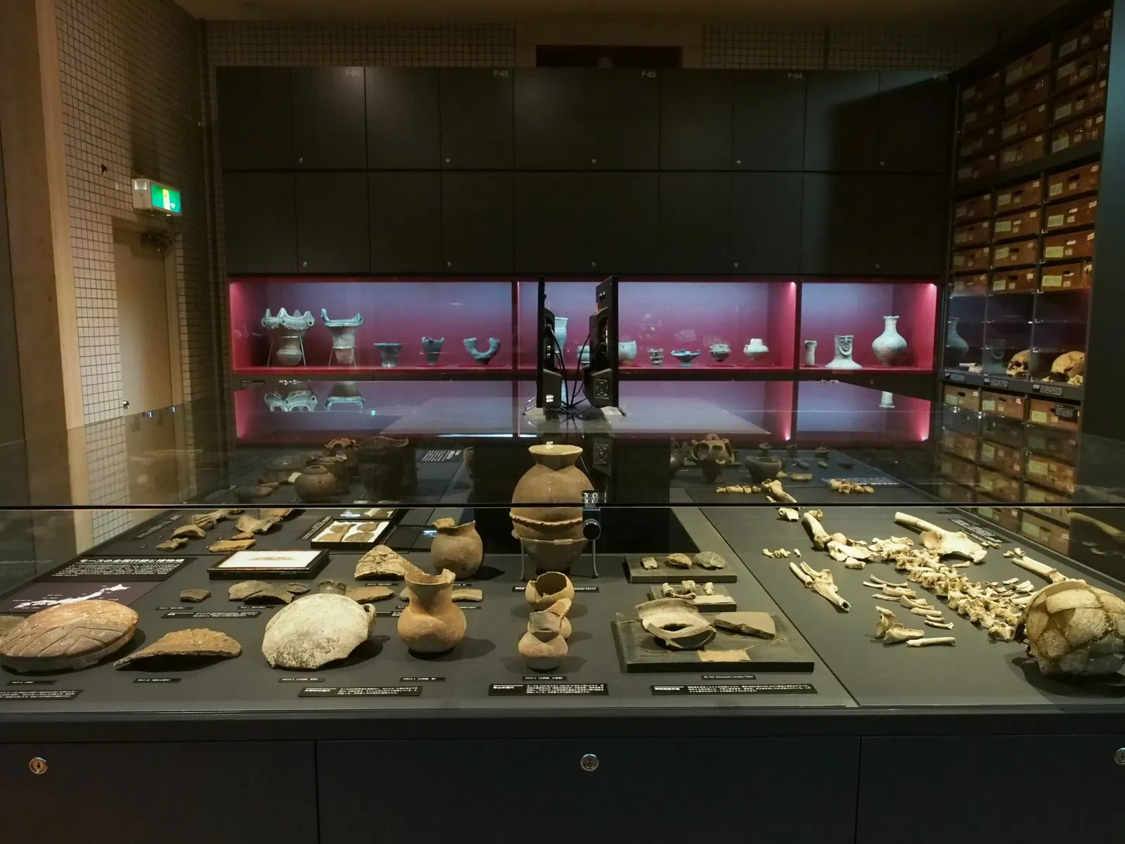 The University Museum, The University of Tokyo