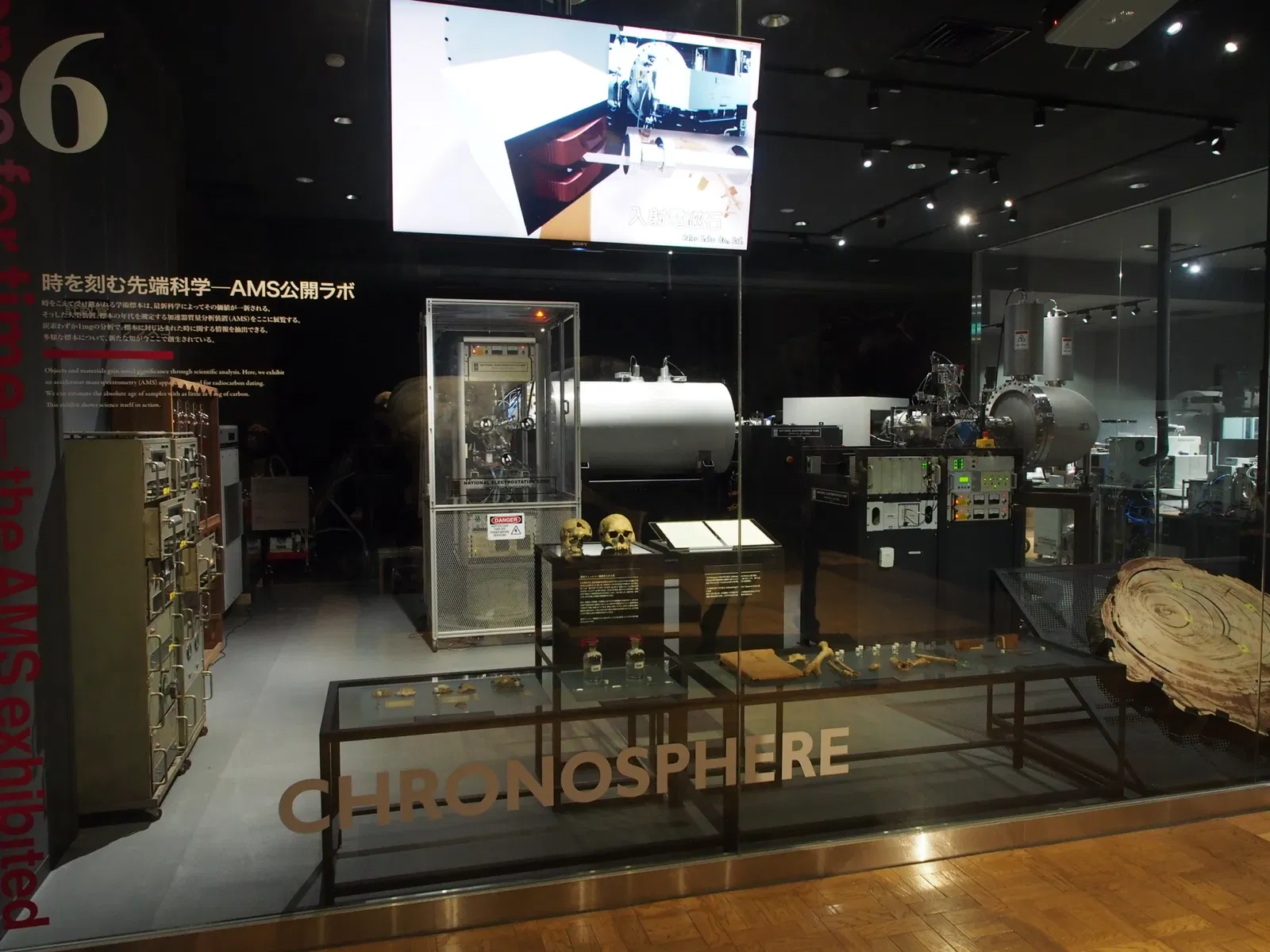 The University Museum, The University of Tokyo