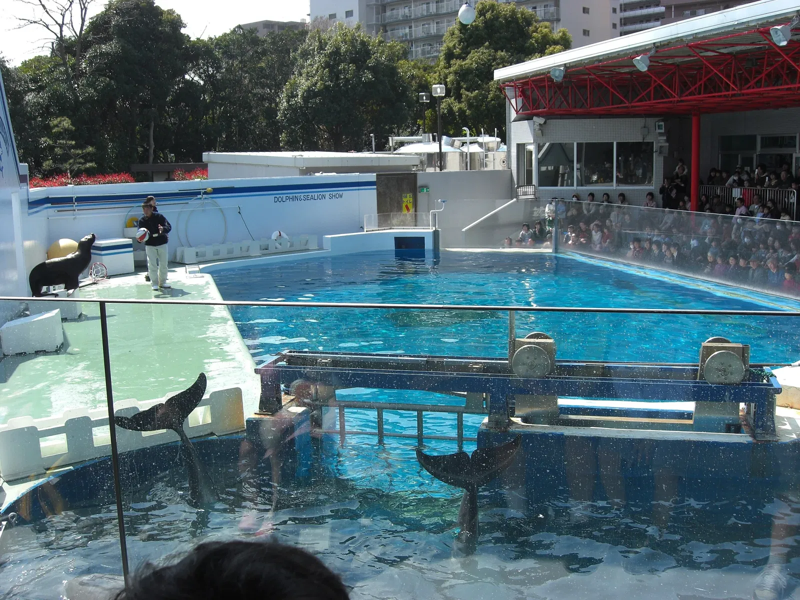 Shinagawa Aquarium