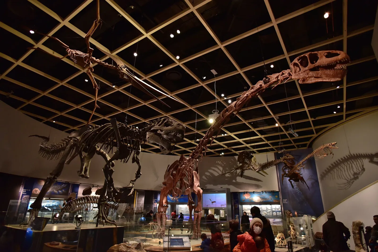 Toyohashi Museum of Natural History
