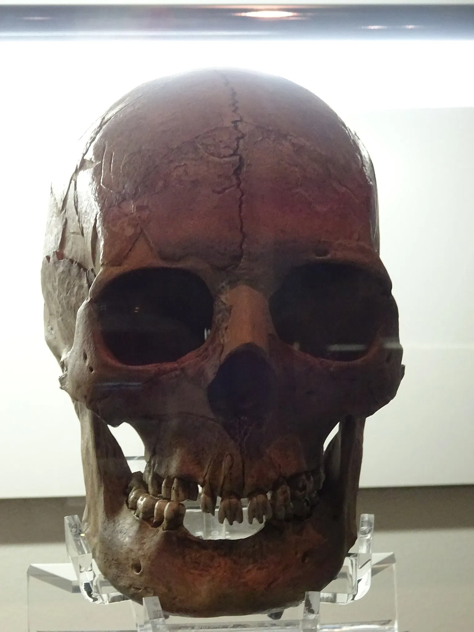 Niigata Prefectural Museum of History