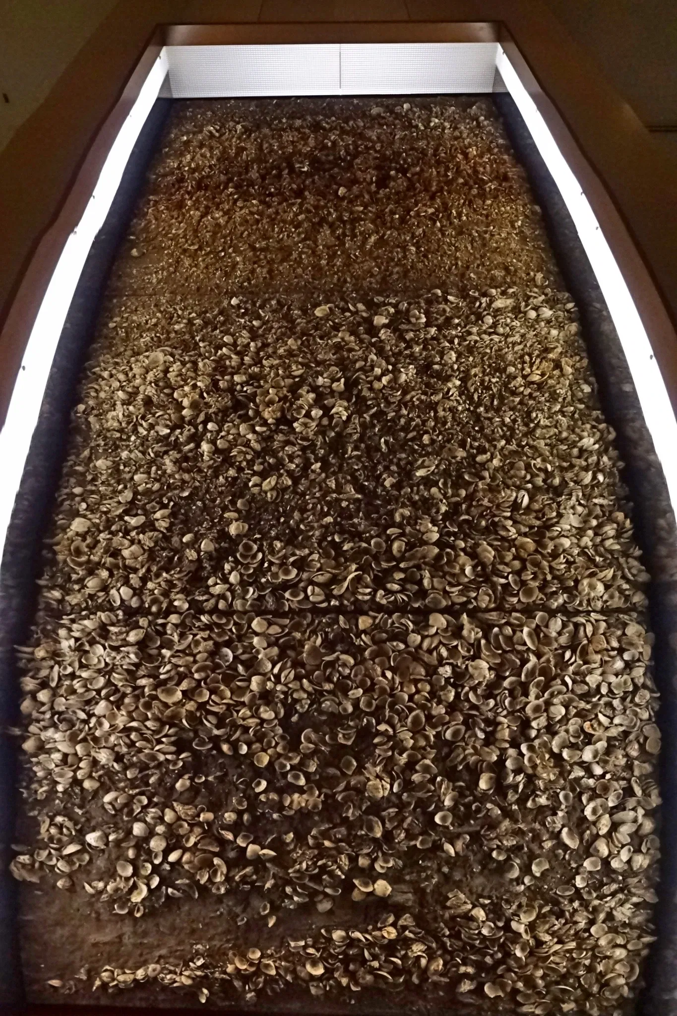 Niigata Prefectural Museum of History