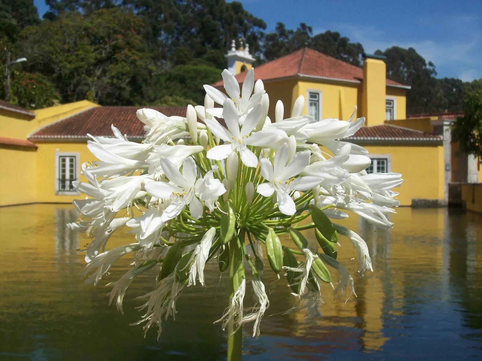 Barcarena Gunpowder Factory