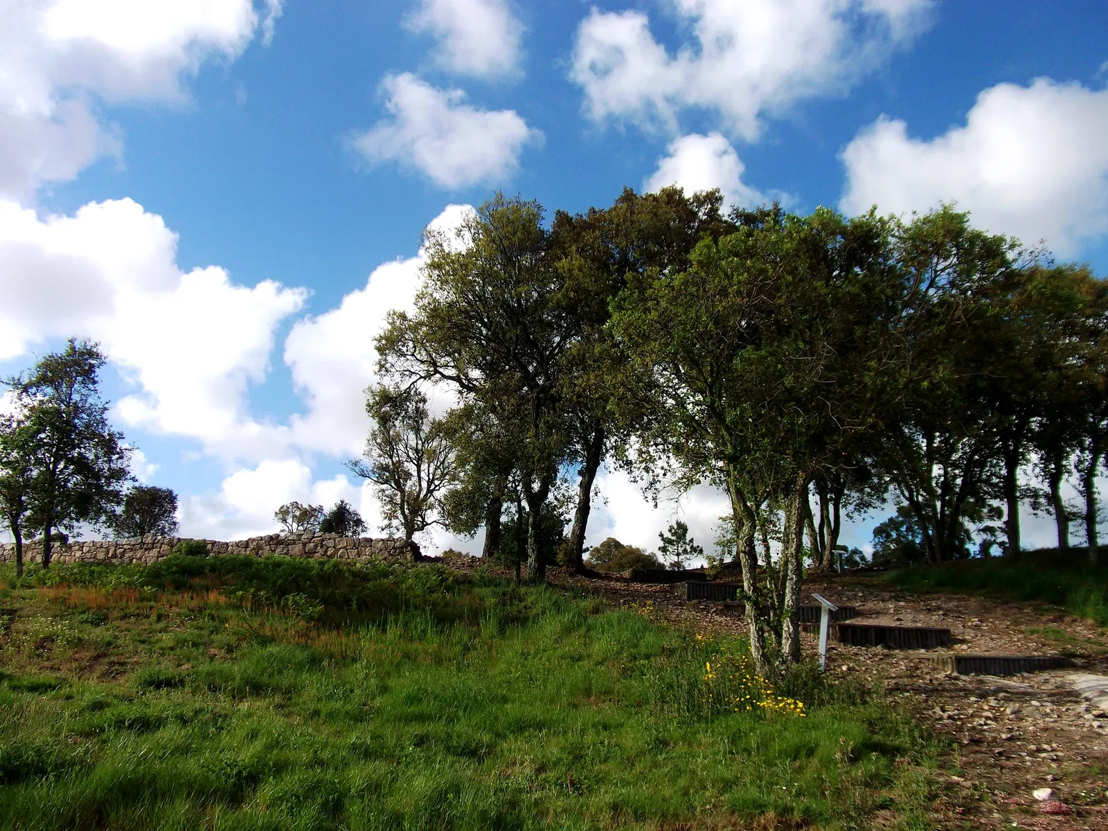 Núcleo Interpretativo da Cividade de Terroso