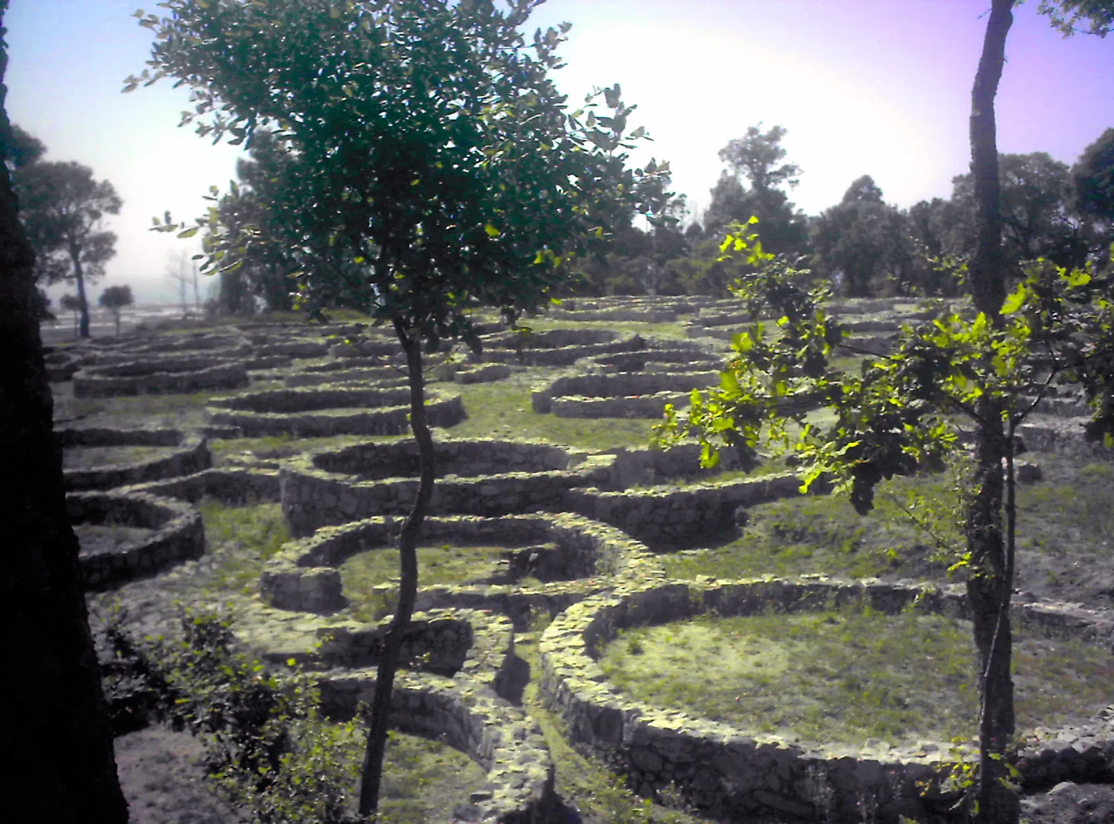 Núcleo Interpretativo da Cividade de Terroso