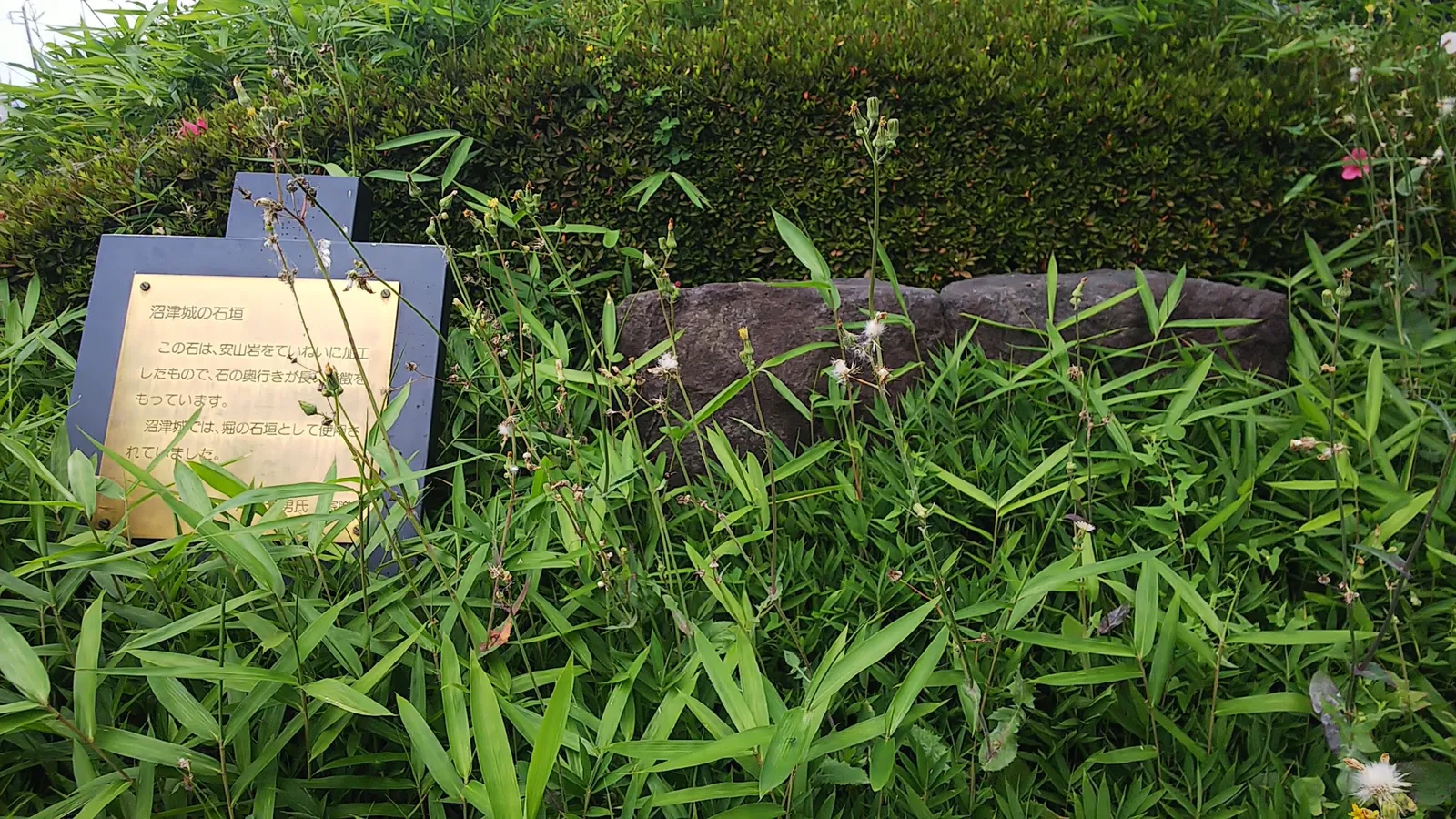 Numazu City Archives of Meiji History