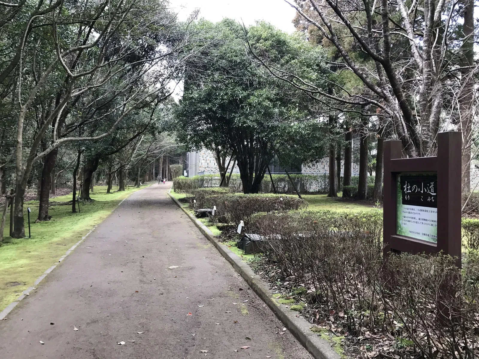Miyazaki Prefectural Museum of Nature and History