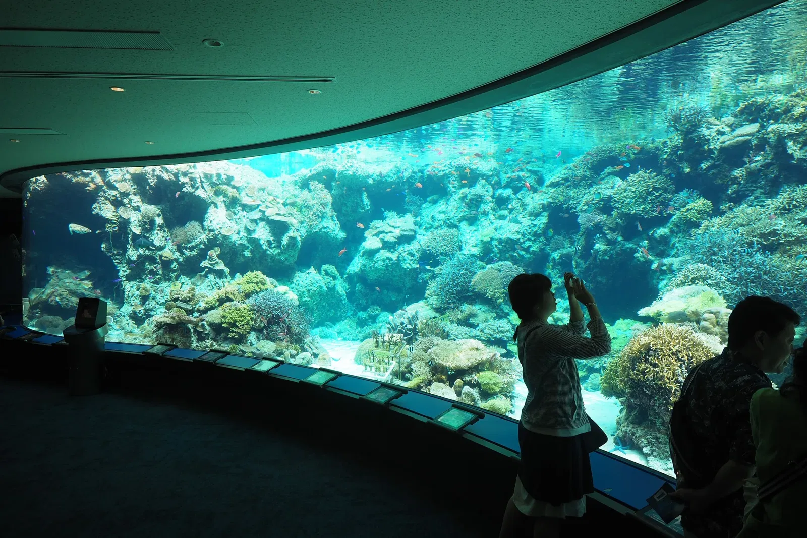 Okinawa Churaumi Aquarium