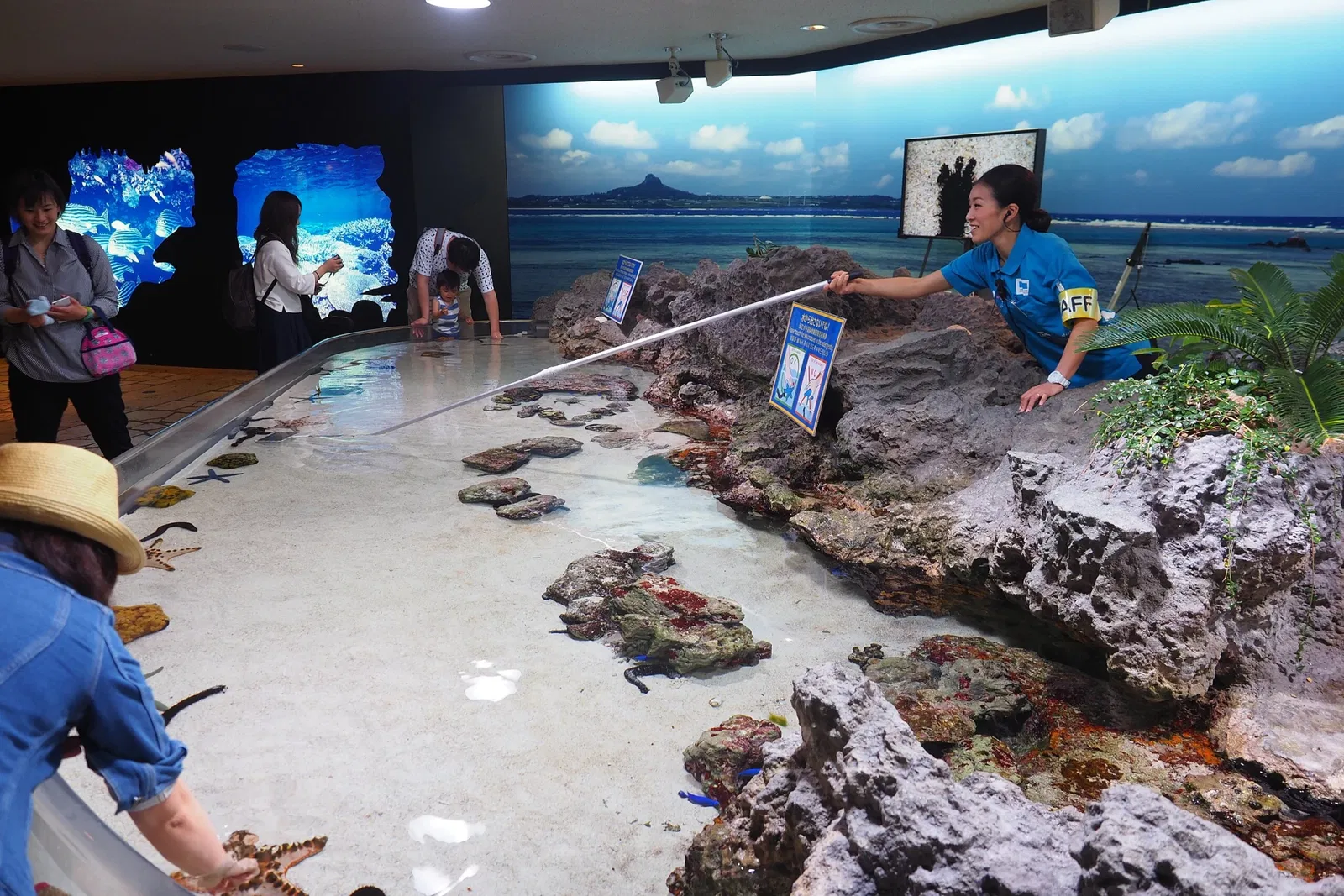 Okinawa Churaumi Aquarium