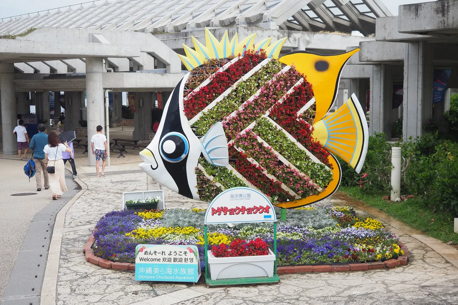 Okinawa Churaumi Aquarium