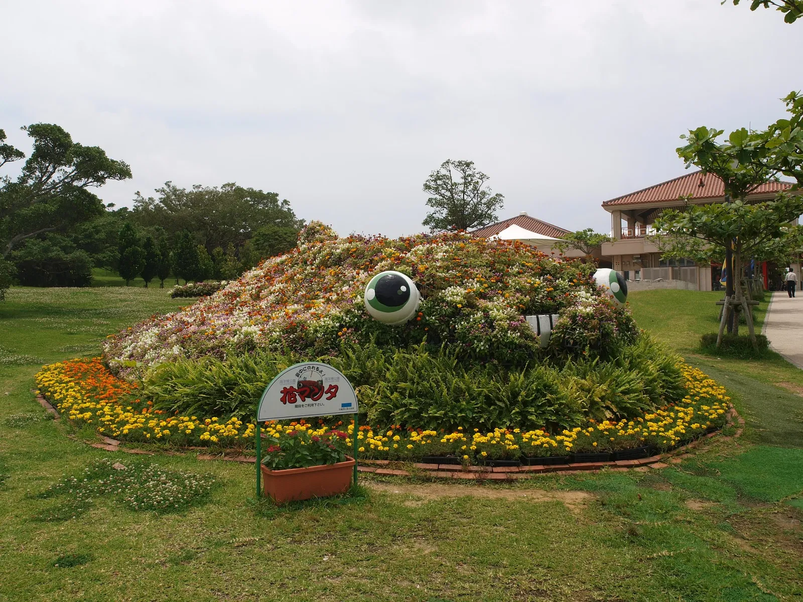 Okinawa Churaumi Aquarium