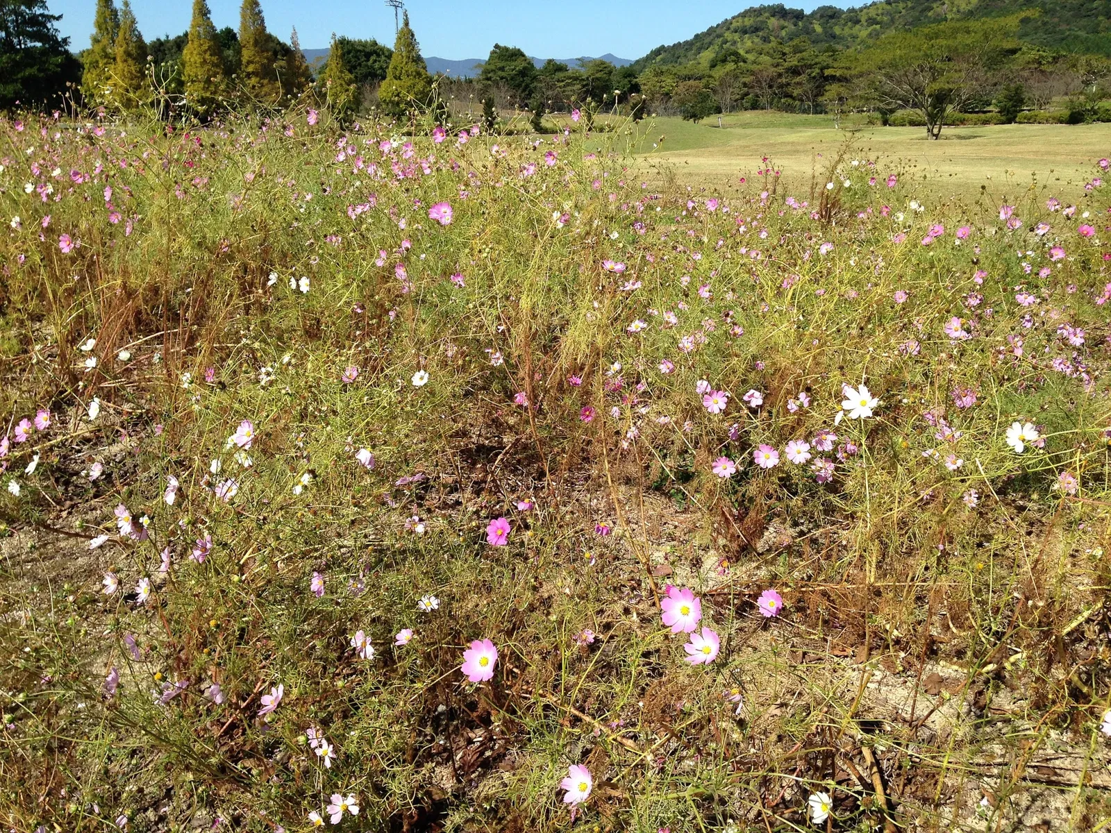 Arita Porcelain Park