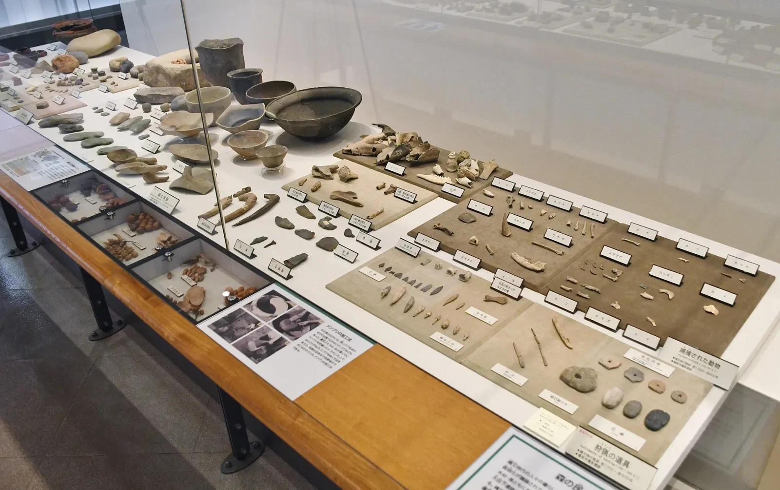 The Museum, Archaeological Institute of Kashihara, Nara Prefecture