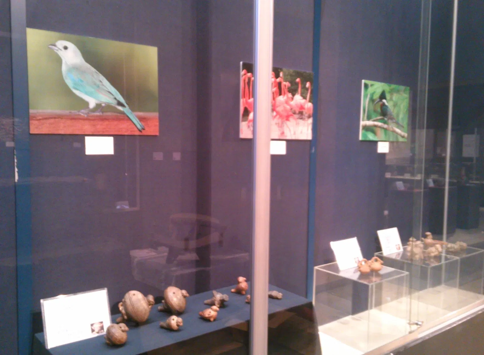 BIZEN Latin American Museum of Art