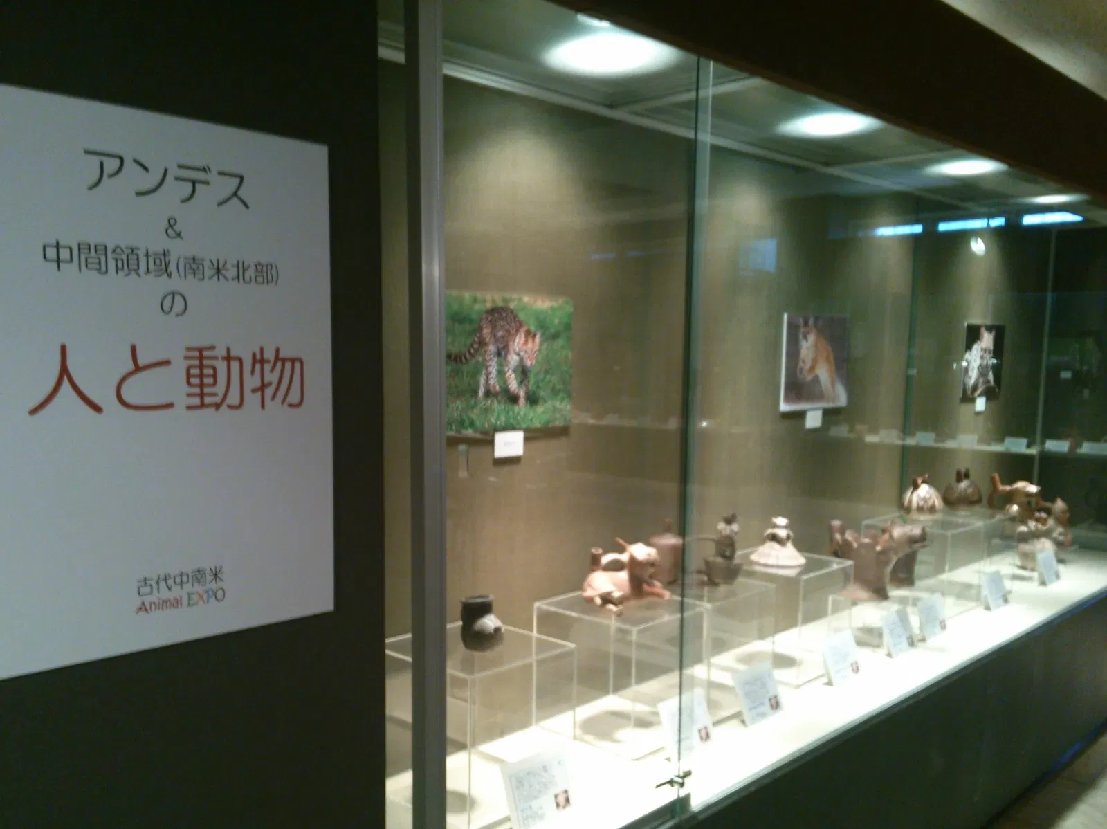 BIZEN Latin American Museum of Art