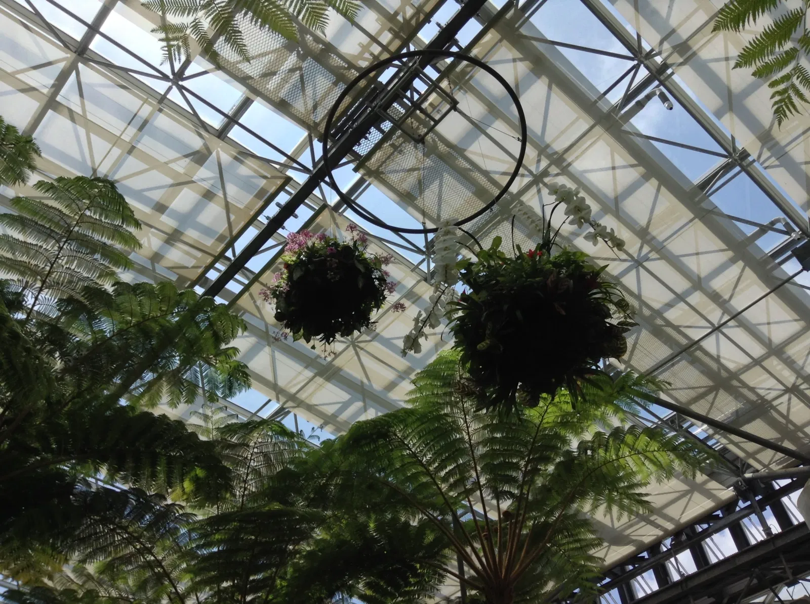 Kiseki No Hoshi Greenhouse