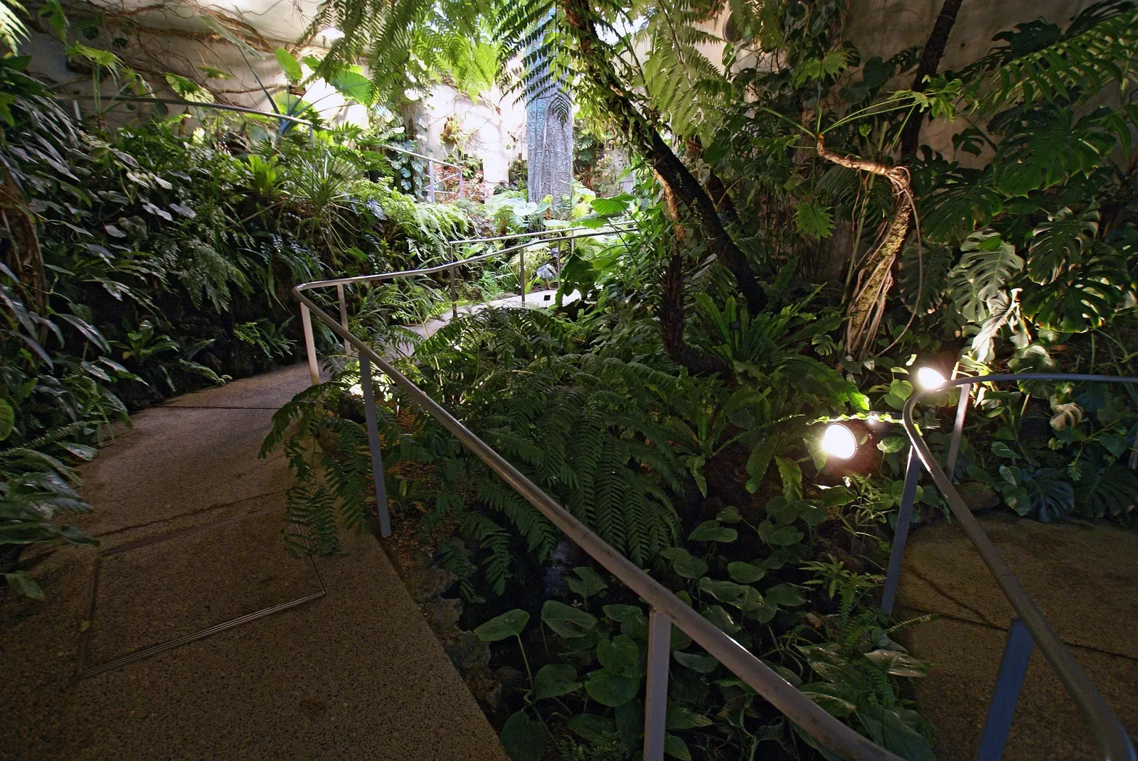 Kiseki No Hoshi Greenhouse