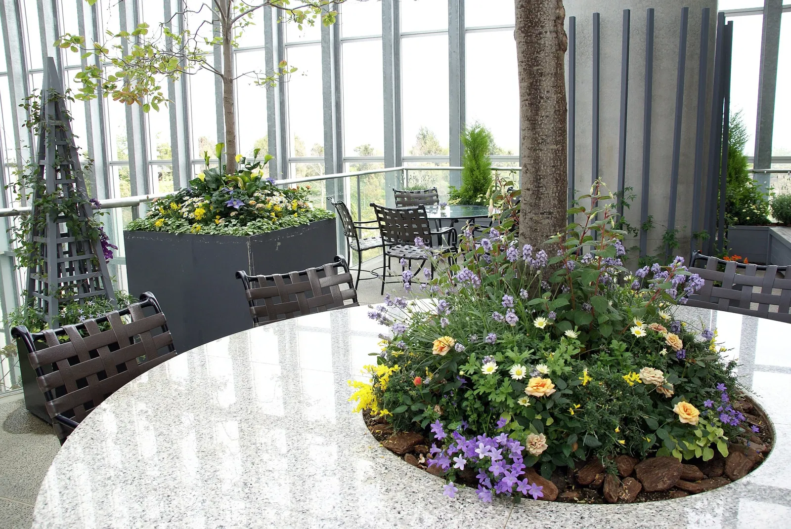 Kiseki No Hoshi Greenhouse