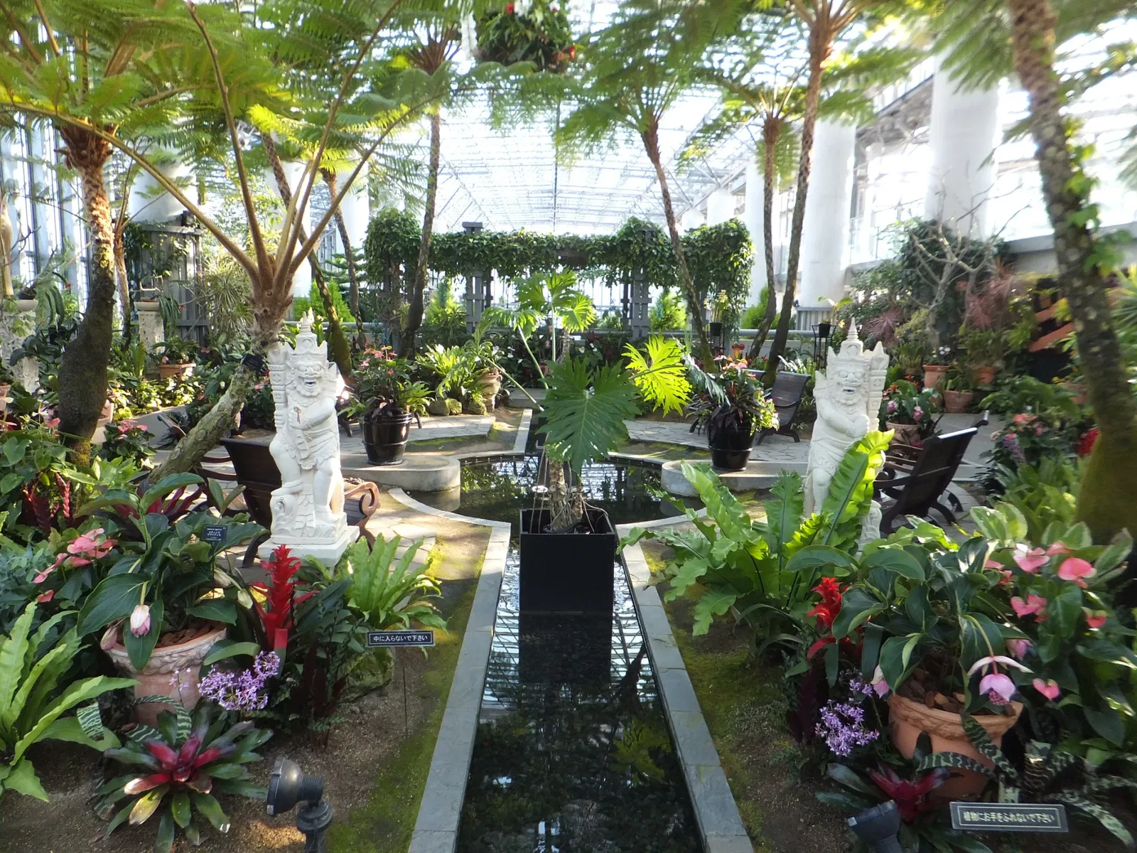 Kiseki No Hoshi Greenhouse