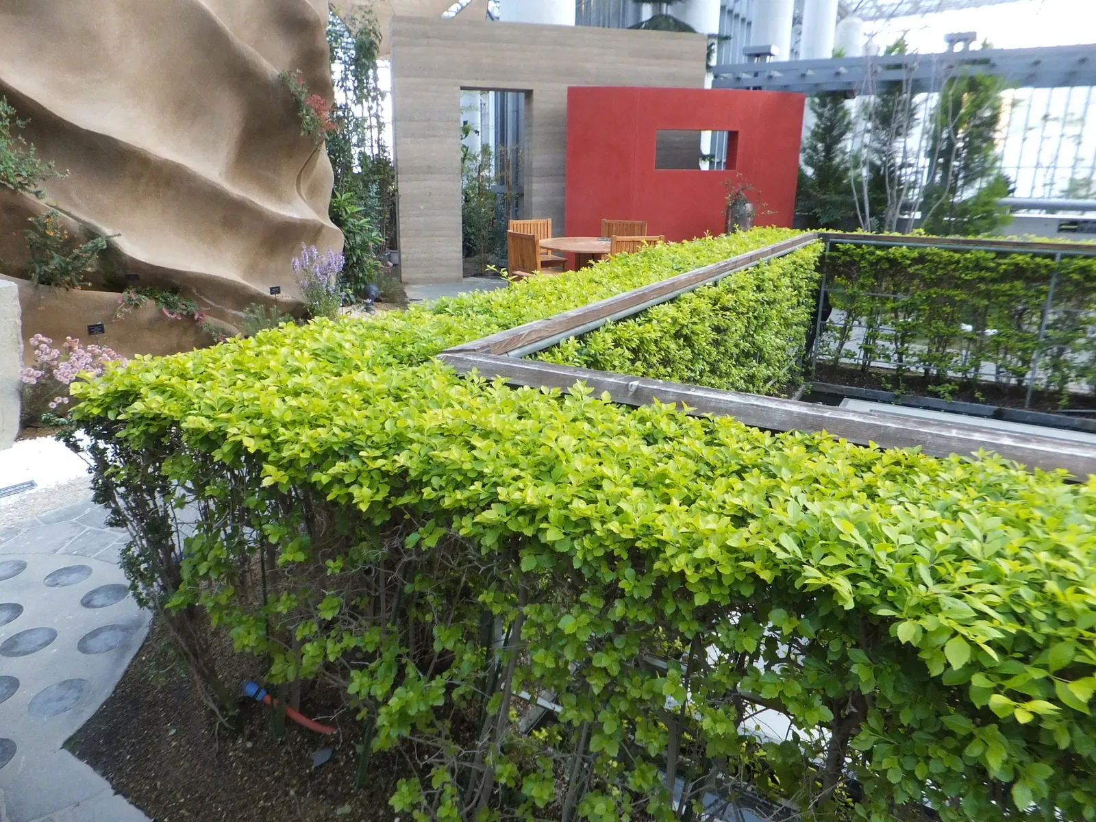 Kiseki No Hoshi Greenhouse