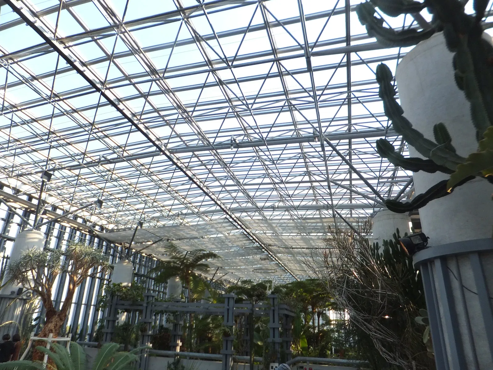 Kiseki No Hoshi Greenhouse