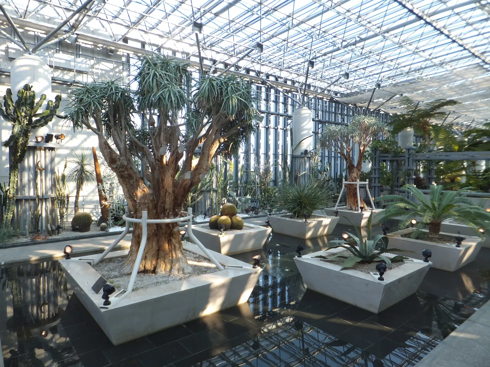 Kiseki No Hoshi Greenhouse