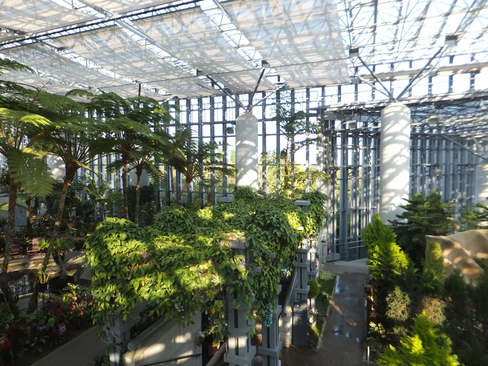 Kiseki No Hoshi Greenhouse