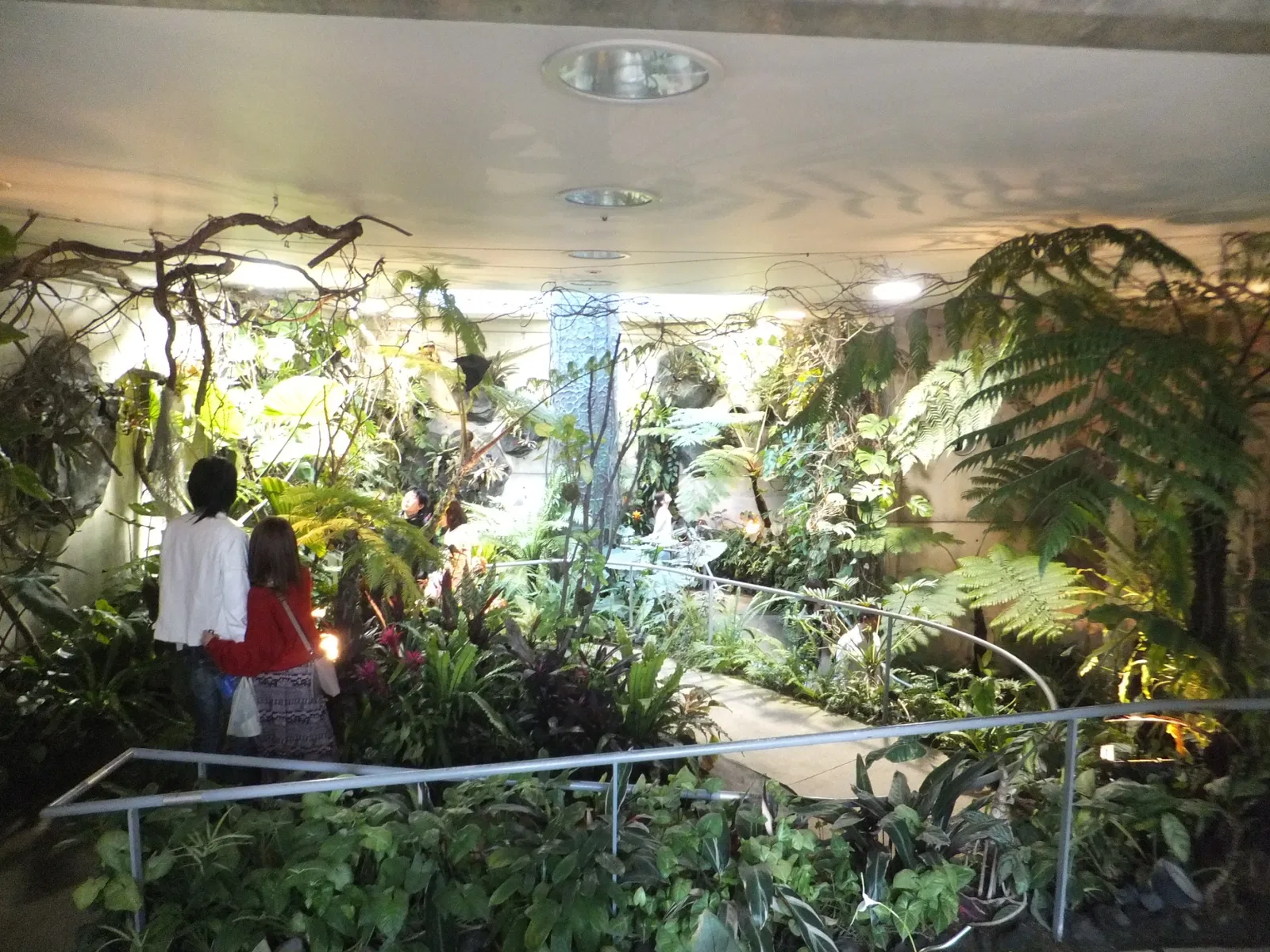 Kiseki No Hoshi Greenhouse