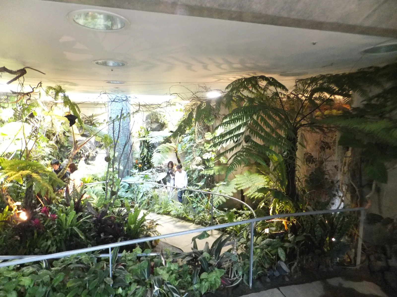 Kiseki No Hoshi Greenhouse