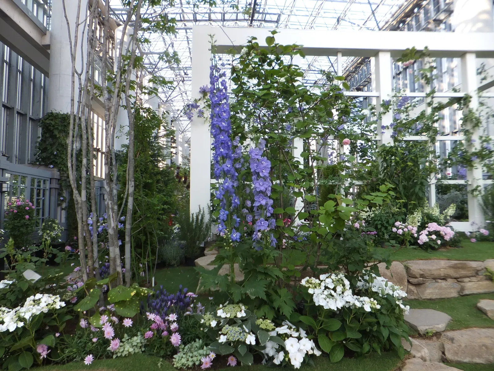 Kiseki No Hoshi Greenhouse