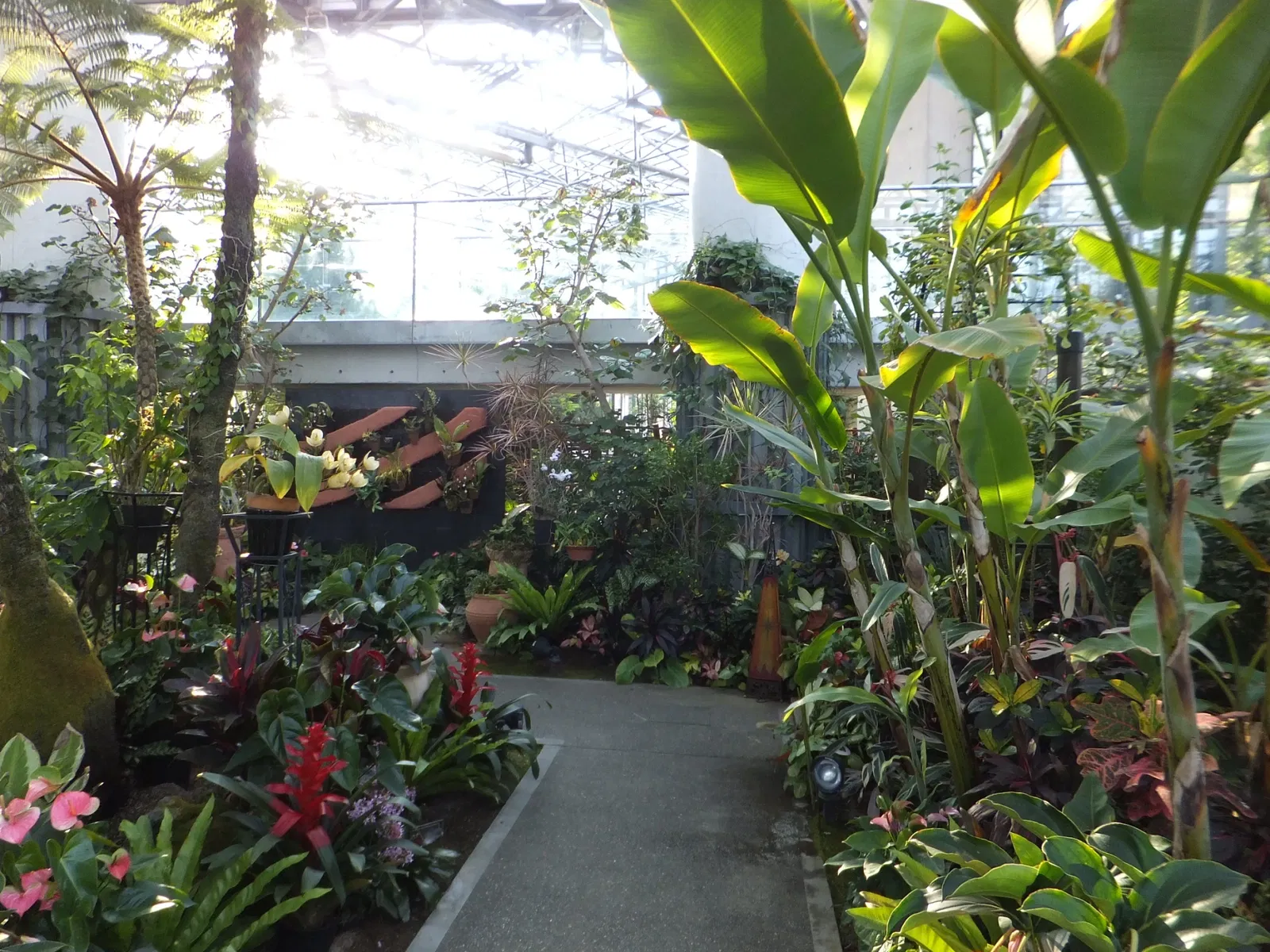 Kiseki No Hoshi Greenhouse