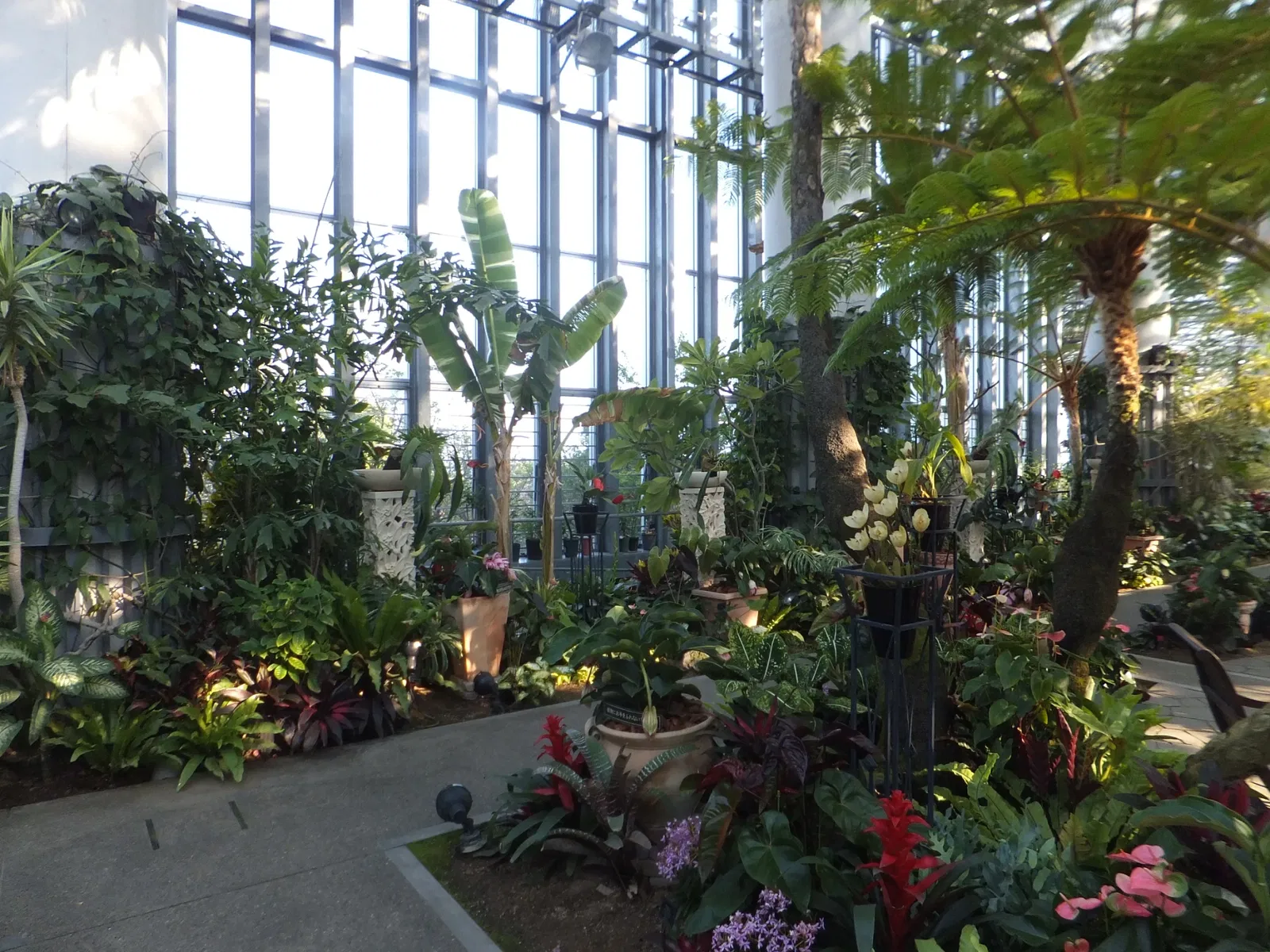 Kiseki No Hoshi Greenhouse