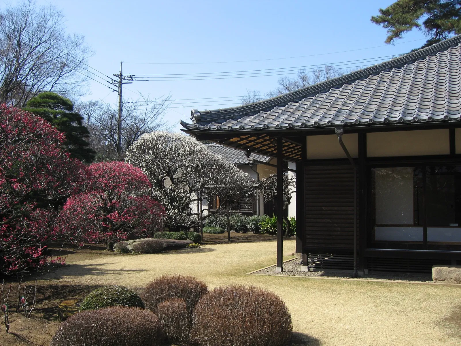 Hirakushi Denchu Art Museum