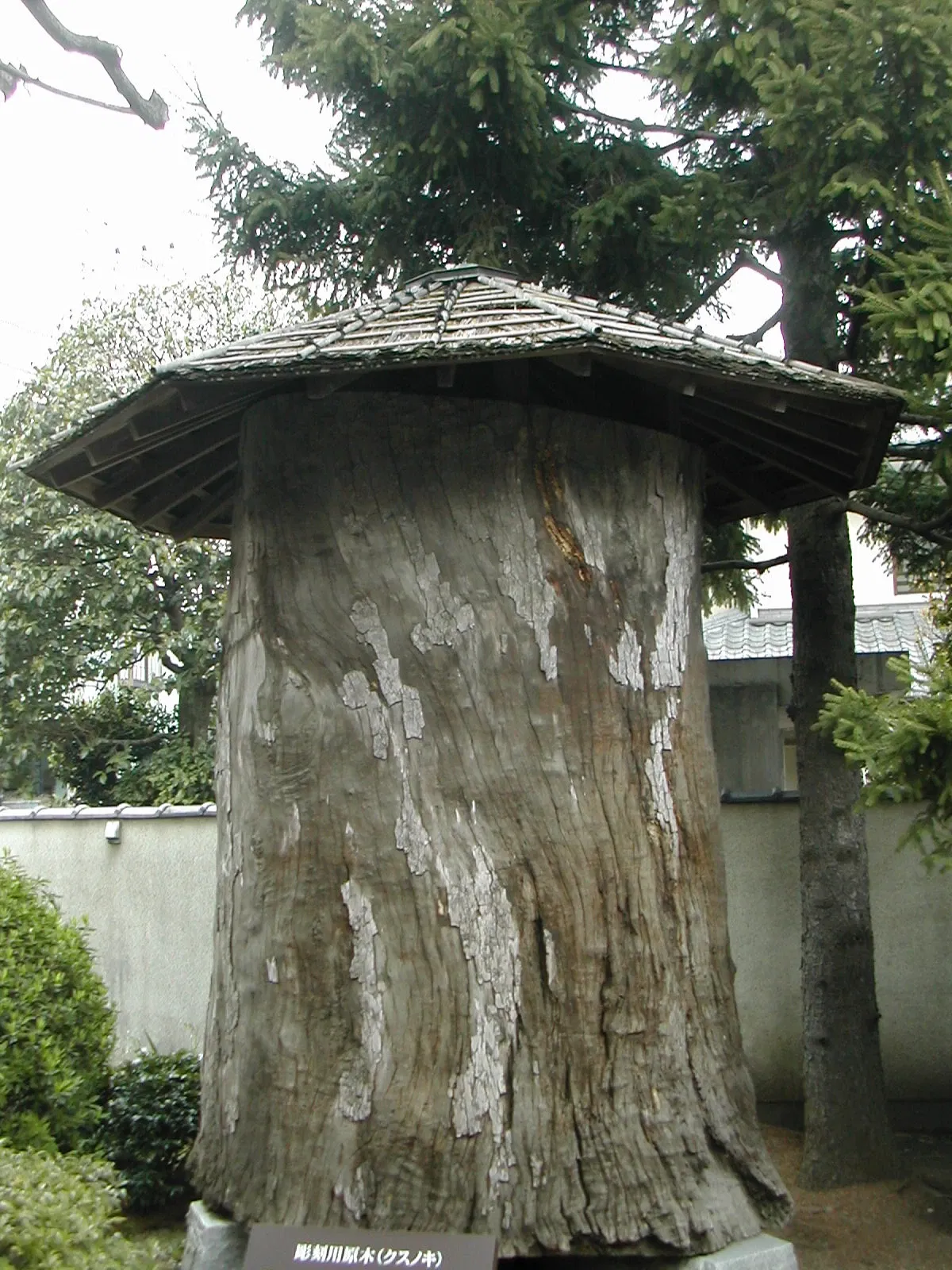 Hirakushi Denchu Art Museum