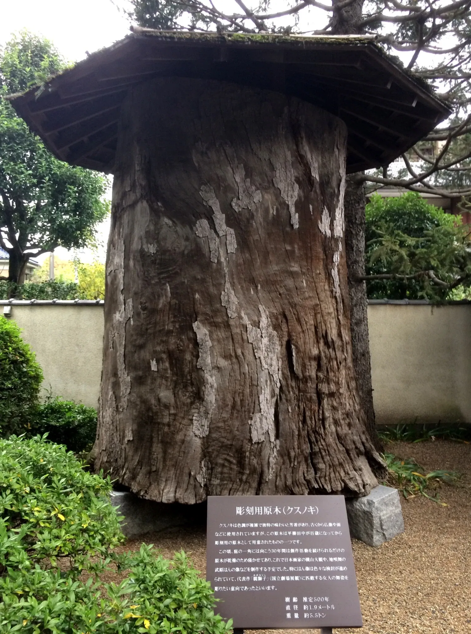 Hirakushi Denchu Art Museum