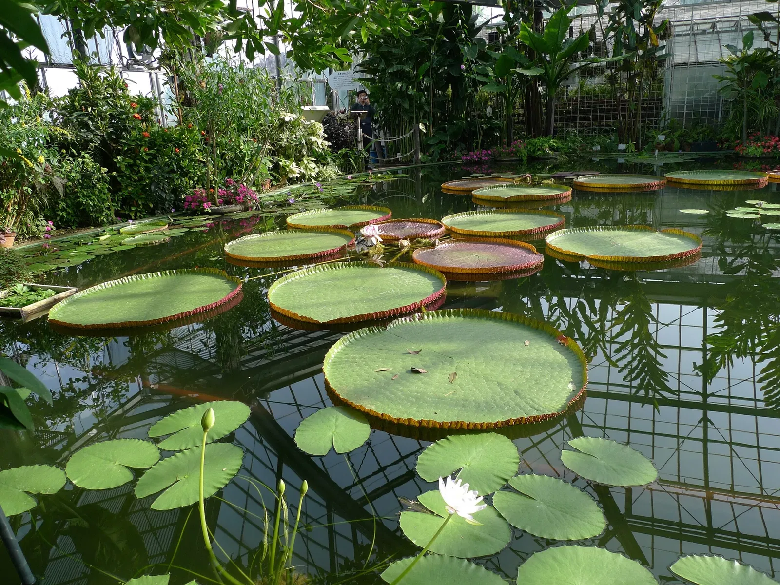 Atagawa Tropical & Alligator Garden