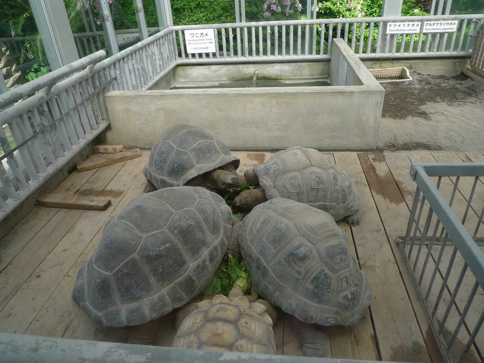 Atagawa Tropical & Alligator Garden