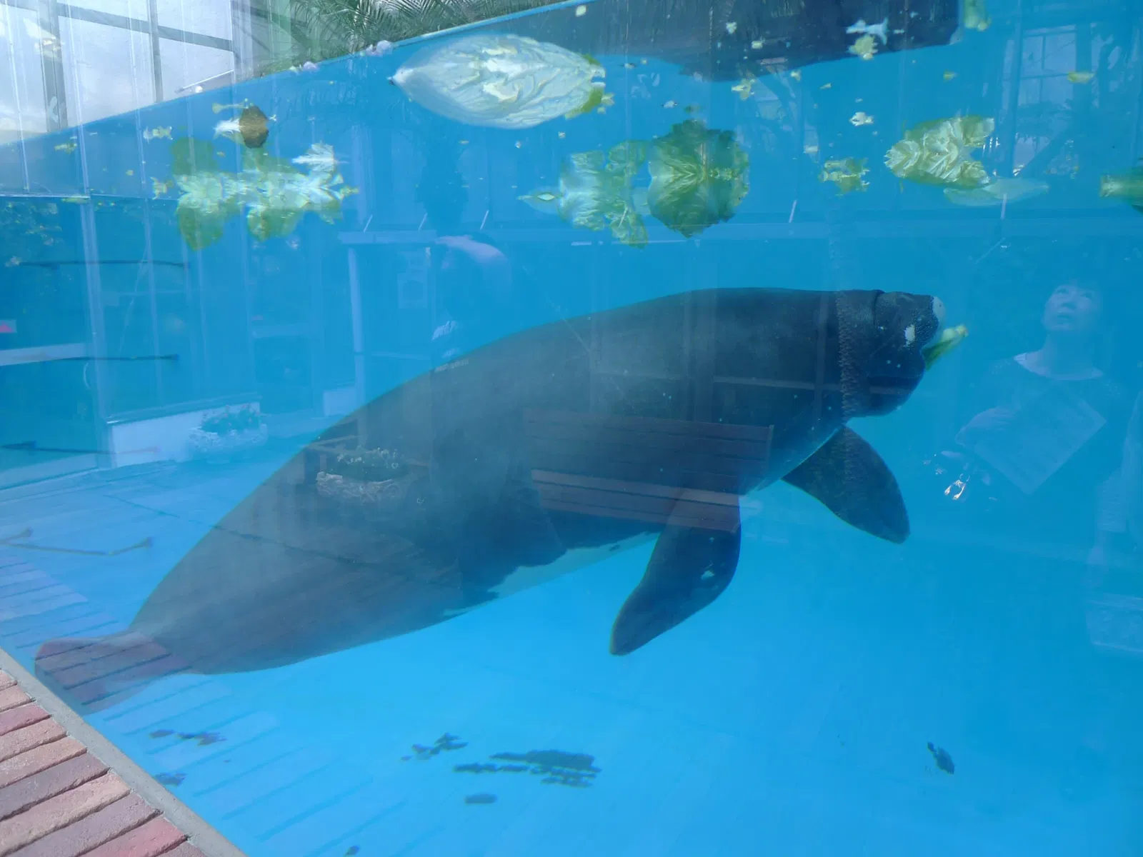 Atagawa Tropical & Alligator Garden