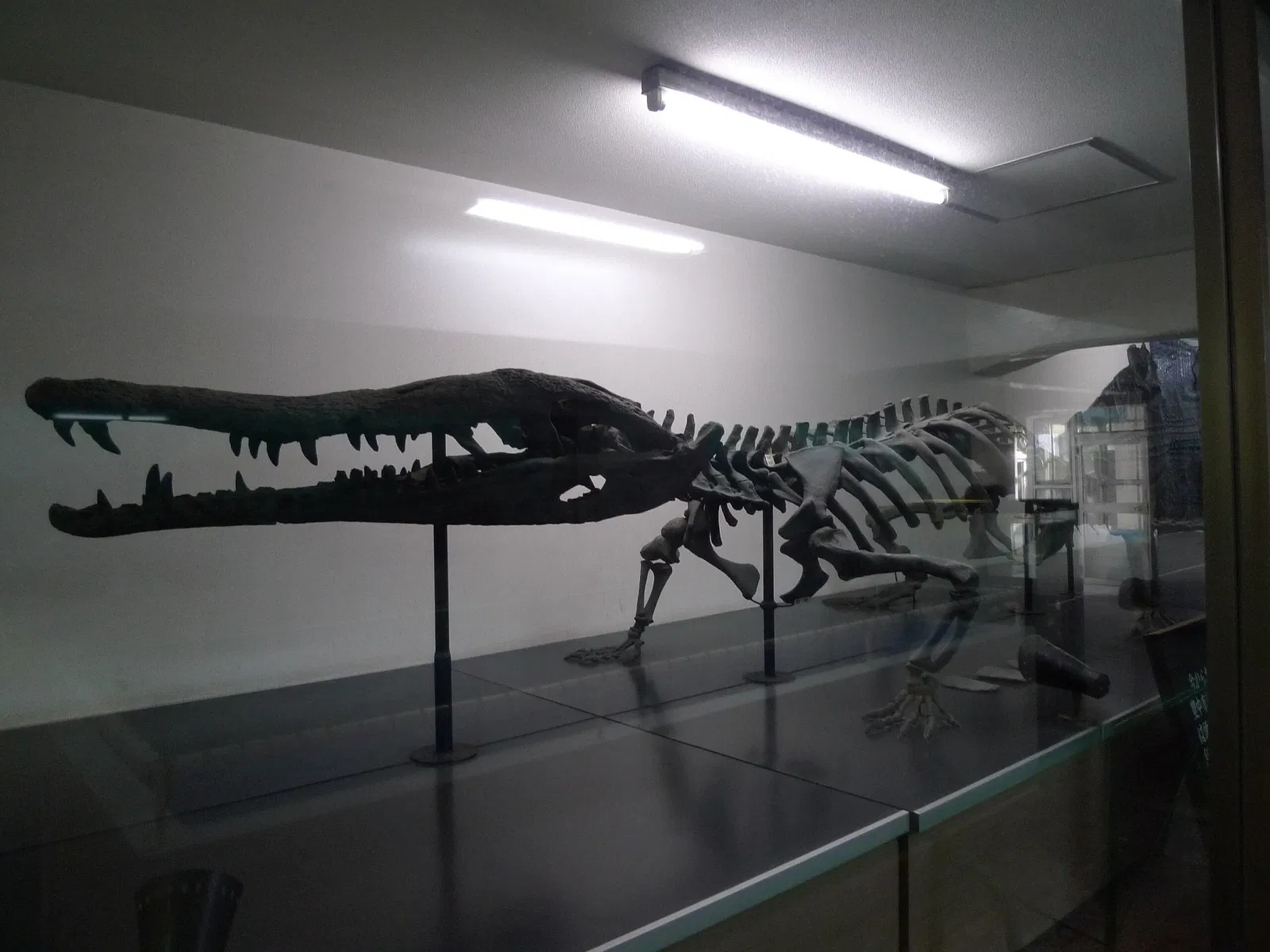 Atagawa Tropical & Alligator Garden