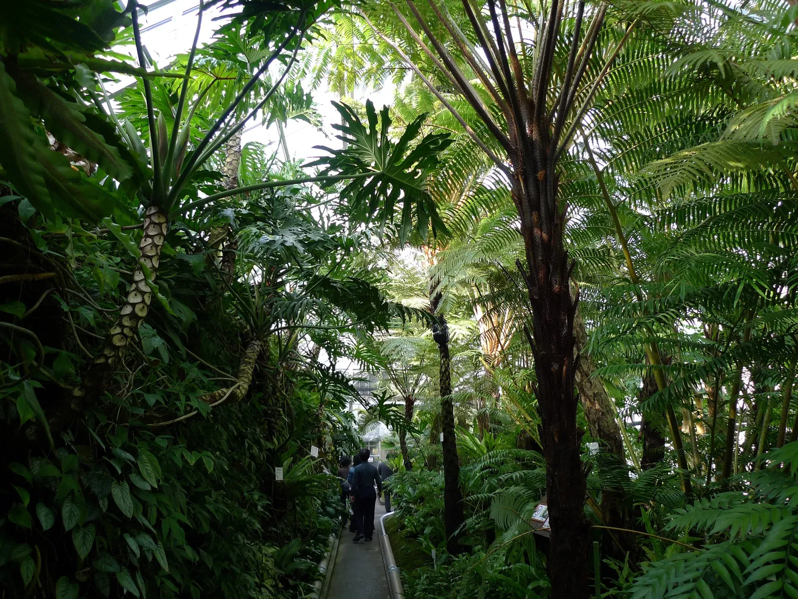 Atagawa Tropical & Alligator Garden