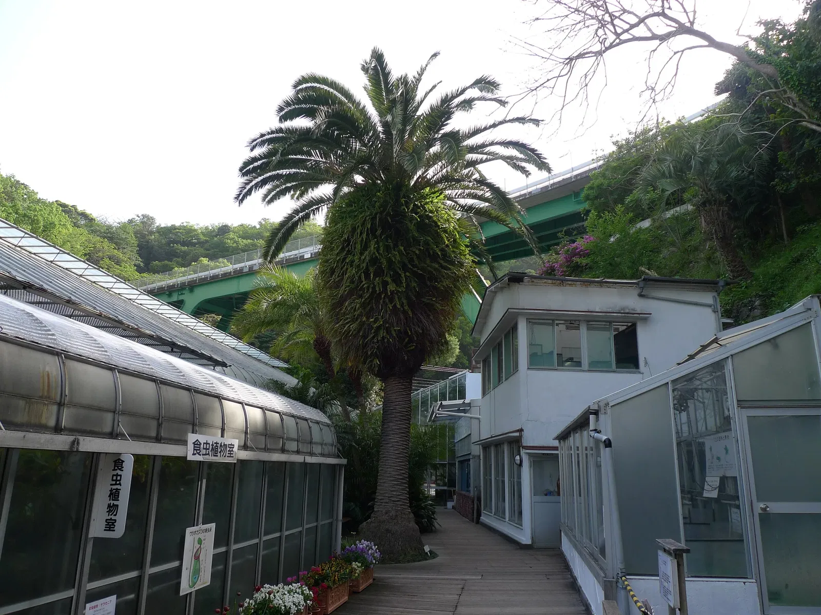 Atagawa Tropical & Alligator Garden