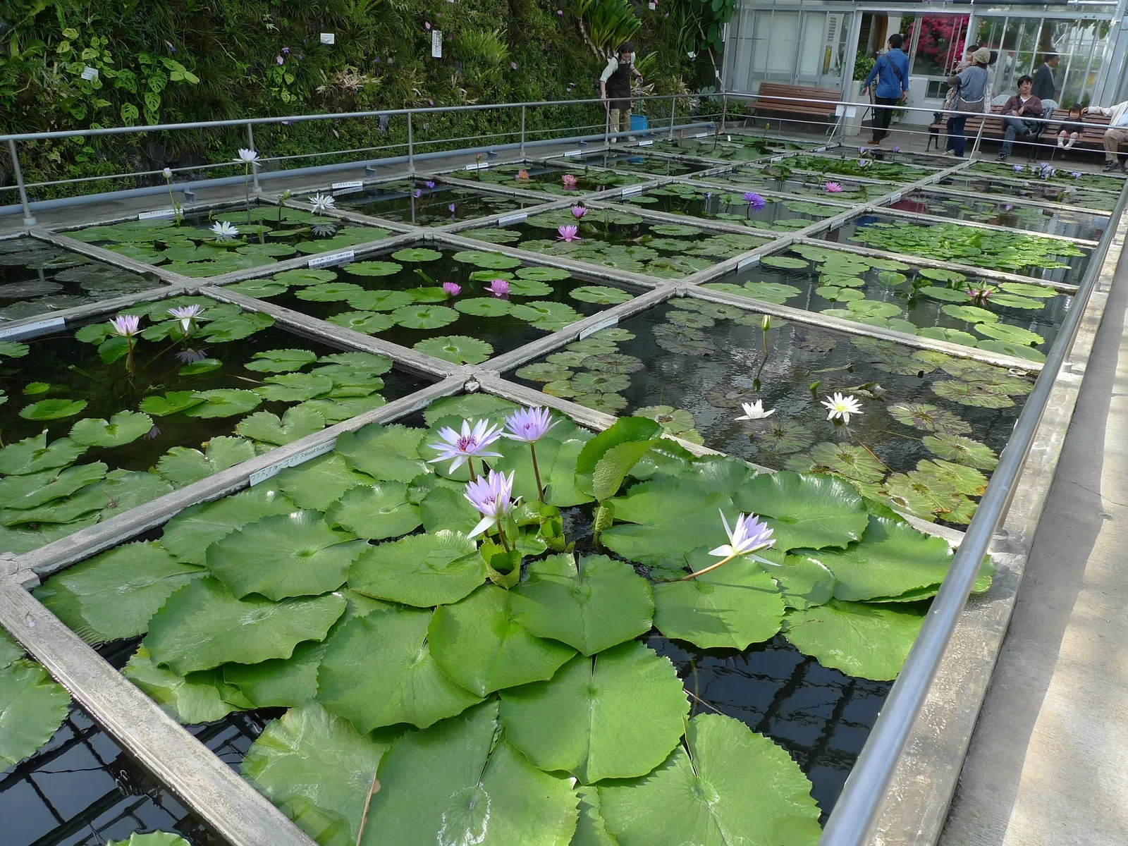 Atagawa Tropical & Alligator Garden