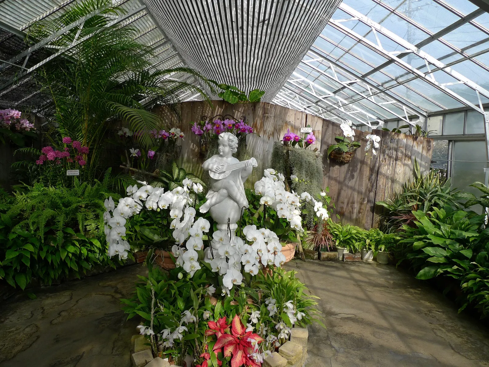 Atagawa Tropical & Alligator Garden