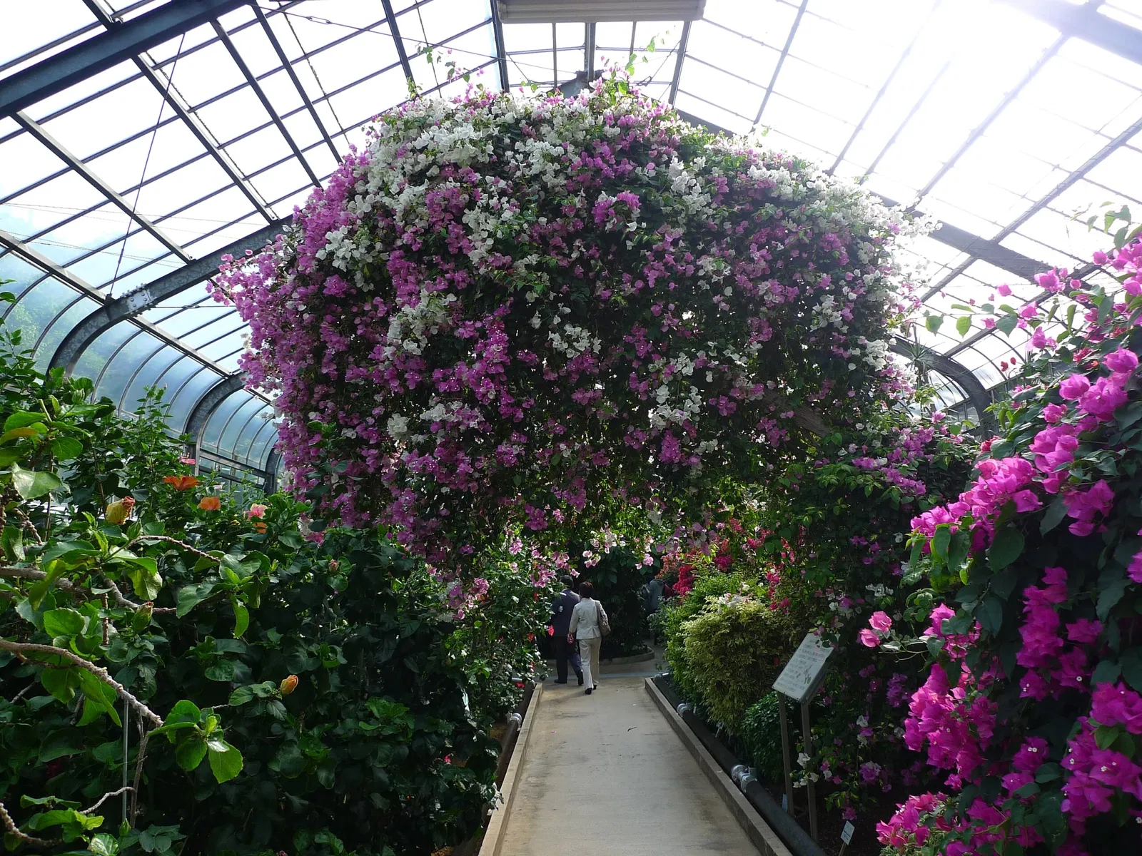 Atagawa Tropical & Alligator Garden