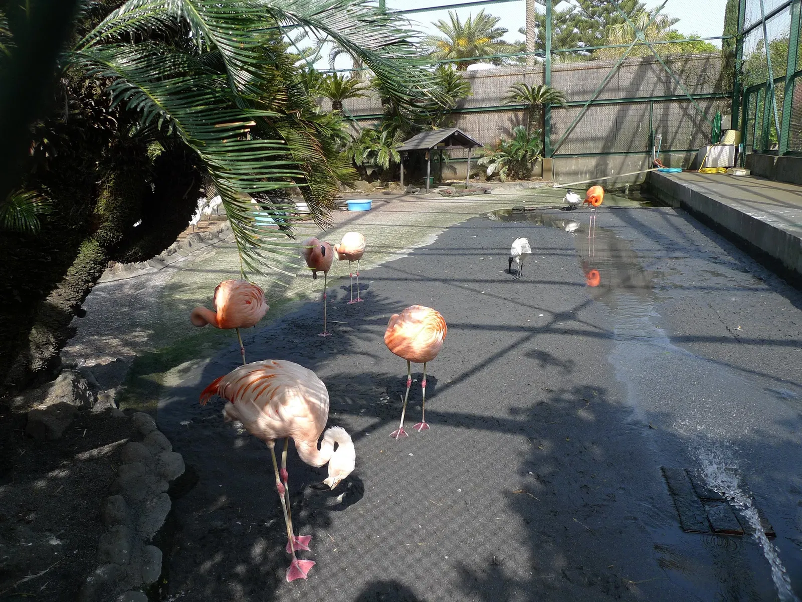 Atagawa Tropical & Alligator Garden