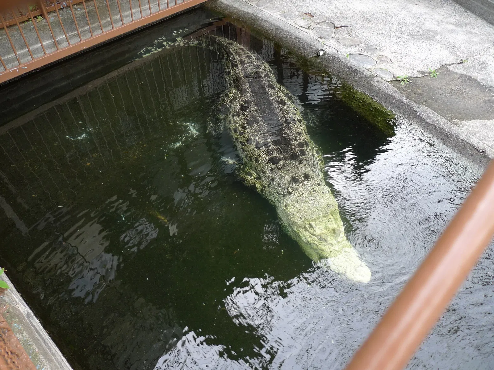 Atagawa Tropical & Alligator Garden